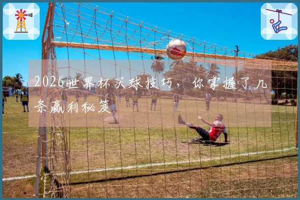 2026世界杯买球技巧，你掌握了几条赢利秘笈
