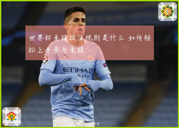 世界杯竞猜投注规则是什么 如何轻松上手参与竞猜