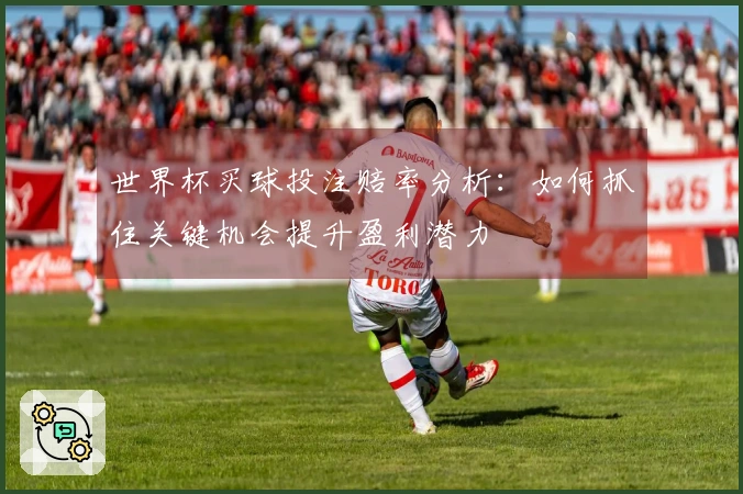 世界杯买球投注赔率分析：如何抓住关键机会提升盈利潜力