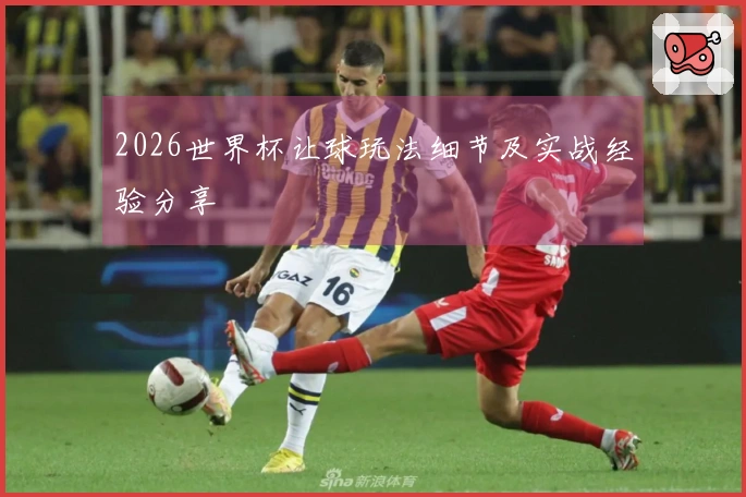 2026世界杯让球玩法细节及实战经验分享