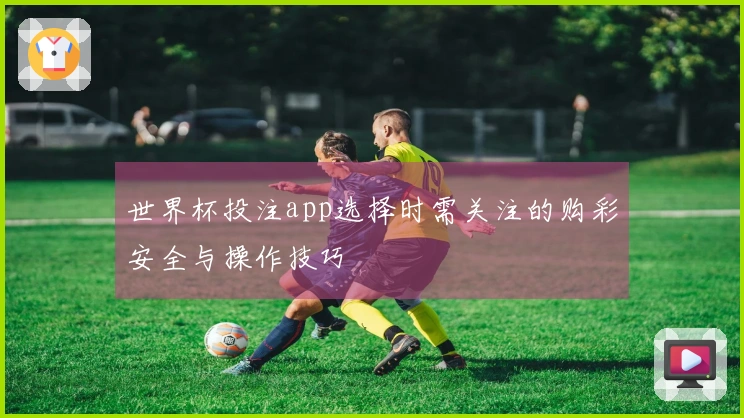 世界杯投注app选择时需关注的购彩安全与操作技巧