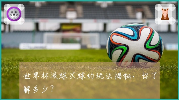 世界杯滚球买球的玩法揭秘，你了解多少？