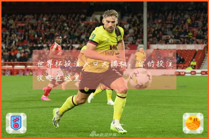 世界杯投注入口大揭秘，你的投注攻略在这里
