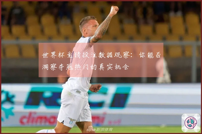 世界杯竞猜投注数据观察：你能否洞察夺冠热门的真实机会