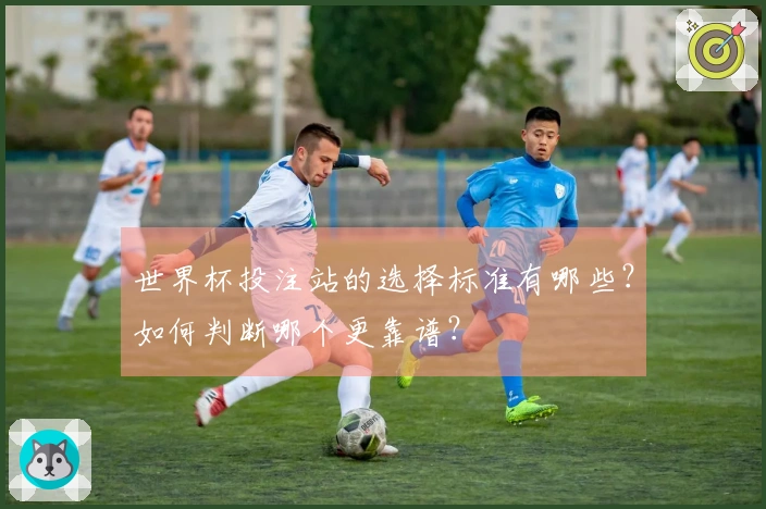 世界杯投注站的选择标准有哪些？如何判断哪个更靠谱？