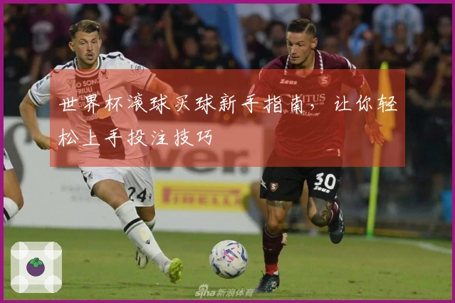 世界杯滚球买球新手指南，让你轻松上手投注技巧