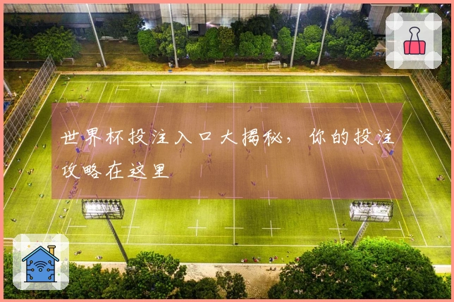 世界杯投注入口大揭秘，你的投注攻略在这里