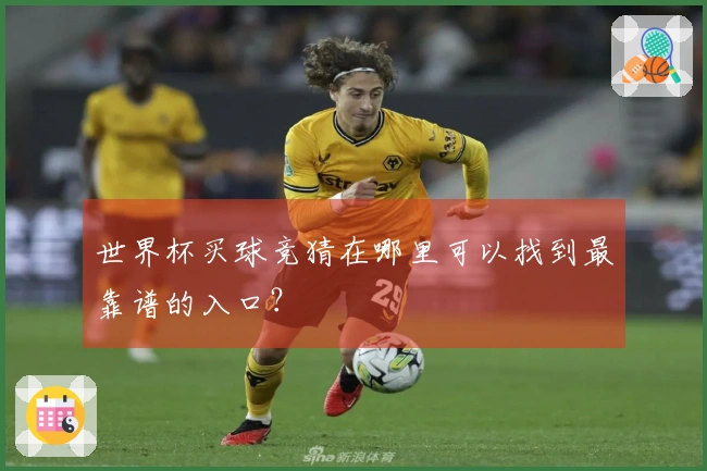 世界杯买球竞猜在哪里可以找到最靠谱的入口？