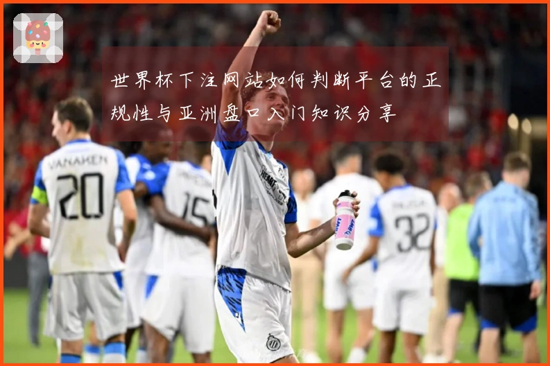 世界杯下注网站如何判断平台的正规性与亚洲盘口入门知识分享