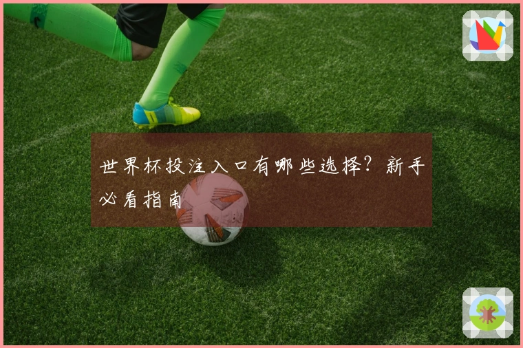 世界杯投注入口有哪些选择？新手必看指南