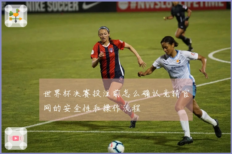 世界杯决赛投注前怎么确认竞猜官网的安全性和操作流程