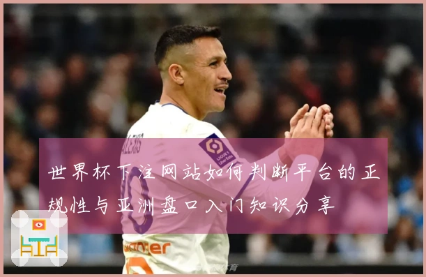 世界杯下注网站如何判断平台的正规性与亚洲盘口入门知识分享