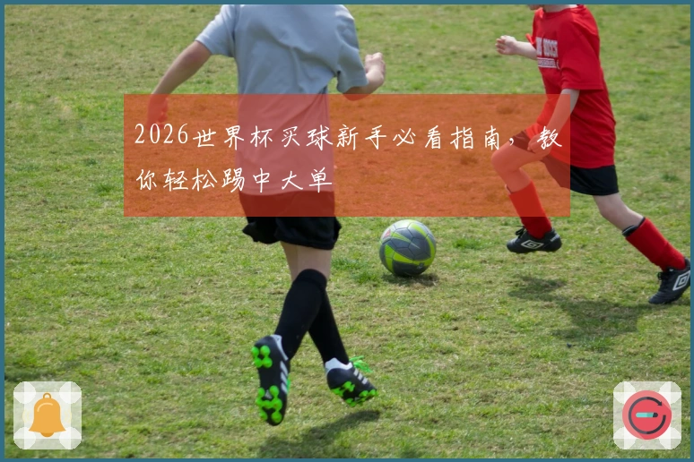 2026世界杯买球新手必看指南，教你轻松踢中大单