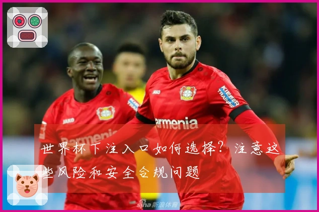 世界杯下注入口如何选择？注意这些风险和安全合规问题