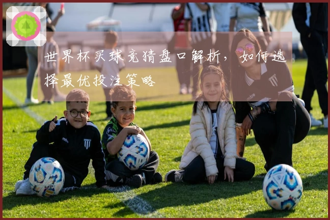 世界杯买球竞猜盘口解析，如何选择最优投注策略