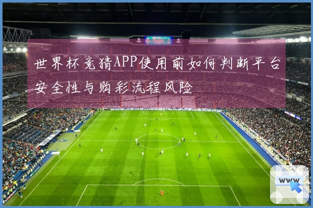 世界杯竞猜APP使用前如何判断平台安全性与购彩流程风险