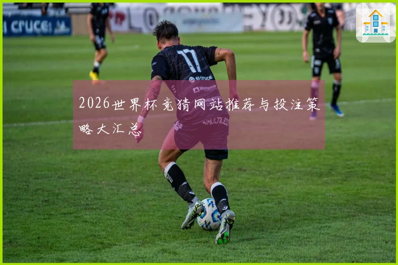 2026世界杯竞猜网站推荐与投注策略大汇总