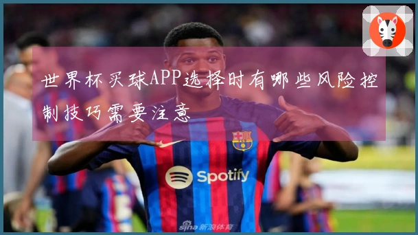 世界杯买球APP选择时有哪些风险控制技巧需要注意