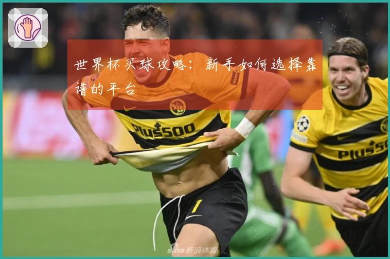 世界杯买球攻略：新手如何选择靠谱的平台