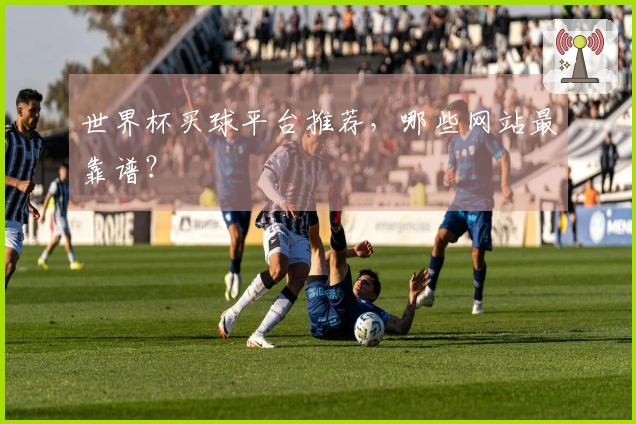 世界杯买球平台推荐，哪些网站最靠谱？