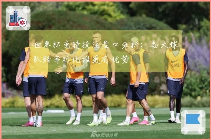 世界杯竞猜投注盘口分析：各大球队赔率对比谁更有优势