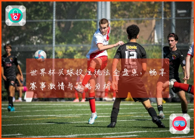 世界杯买球投注玩法全盘点，畅享赛事激情与策略分析