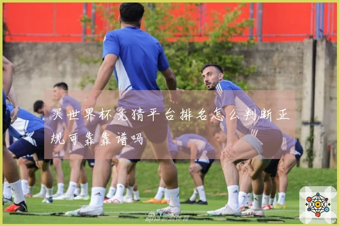 买世界杯竞猜平台排名怎么判断正规可靠靠谱吗