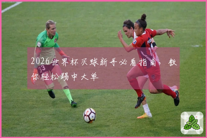 2026世界杯买球新手必看指南，教你轻松踢中大单