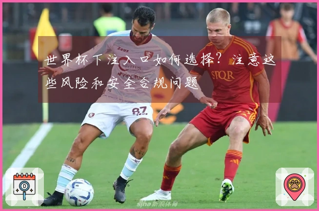 世界杯下注入口如何选择？注意这些风险和安全合规问题