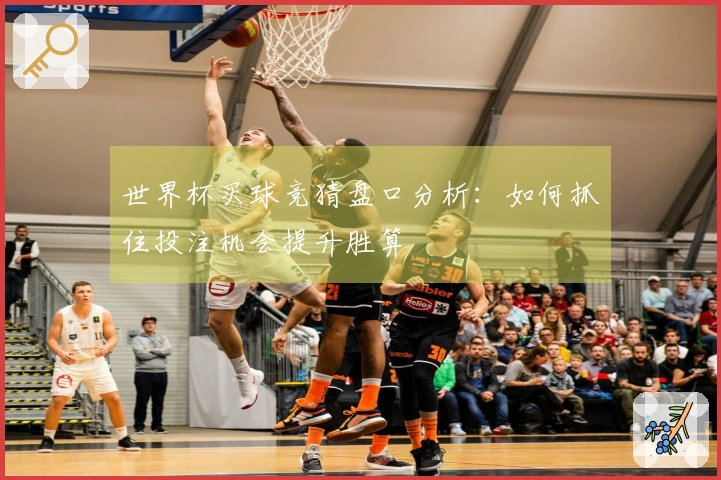 世界杯买球竞猜盘口分析：如何抓住投注机会提升胜算