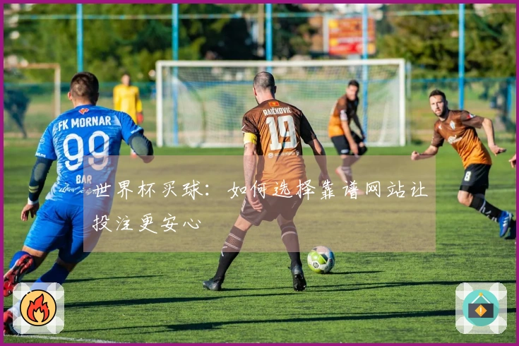 世界杯买球：如何选择靠谱网站让投注更安心