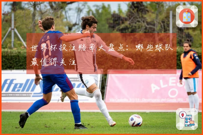 世界杯投注赔率大盘点：哪些球队最值得关注