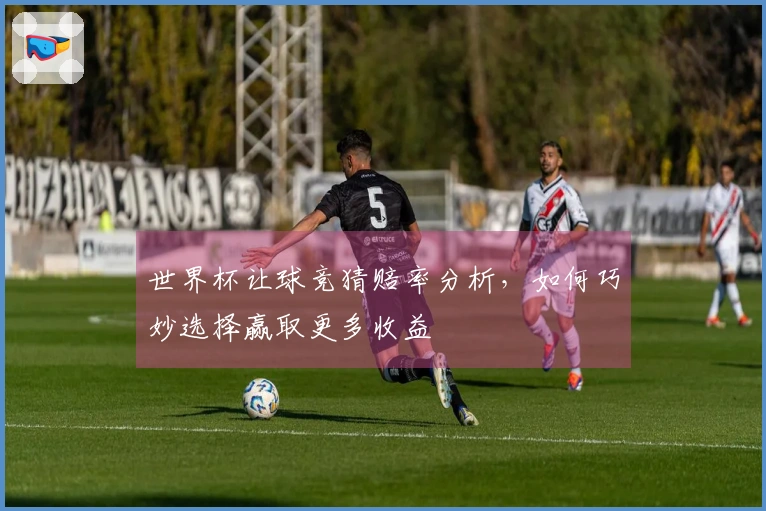 世界杯让球竞猜赔率分析，如何巧妙选择赢取更多收益
