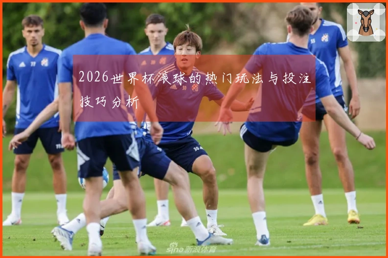 2026世界杯滚球的热门玩法与投注技巧分析