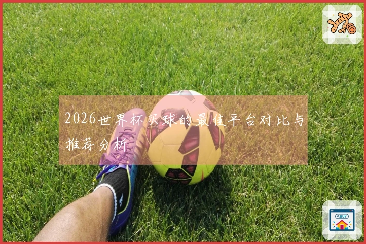 2026世界杯买球的最佳平台对比与推荐分析